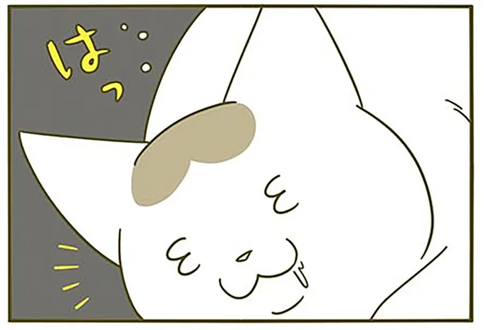 はっ…