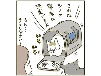 寝床に決定ですよ