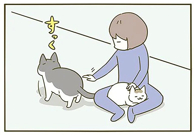 2匹同時に撫でたいのに！ 少し遠くまで行ってしまった猫の背、どうする？