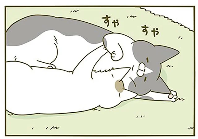 先輩猫の胸にモフゥと埋もれて眠る後輩猫。息ができるか気になっていたら