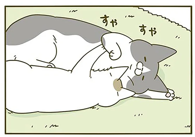 すやすや