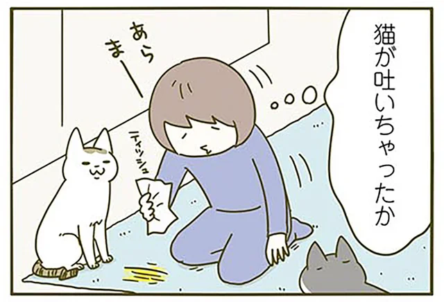 猫が吐いちゃったのかな。買ったばかりのカーペットの異変
