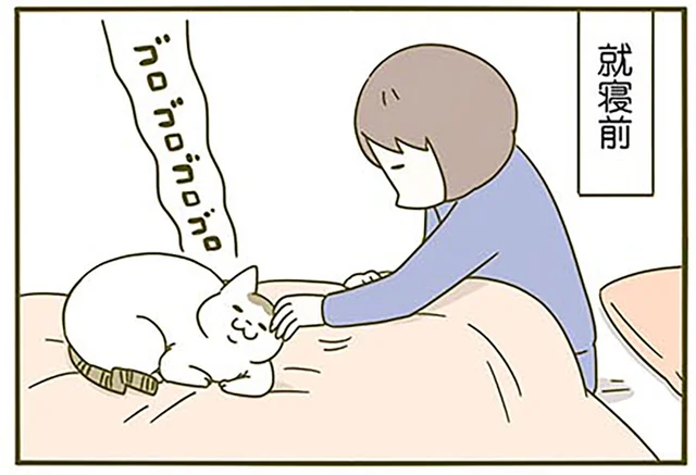 就寝前の癒しのひととき。猫が可愛すぎて無限に撫でてしまう！