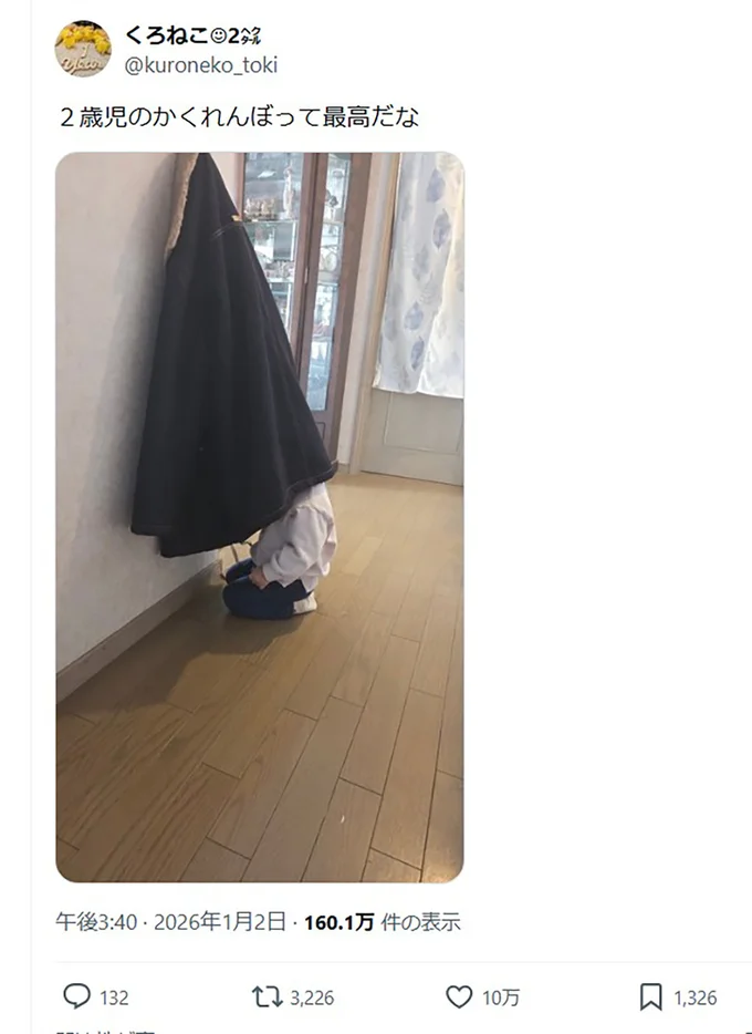 2歳児のかくれんぼ▶本人はきっと全力で…（⇒次へ）