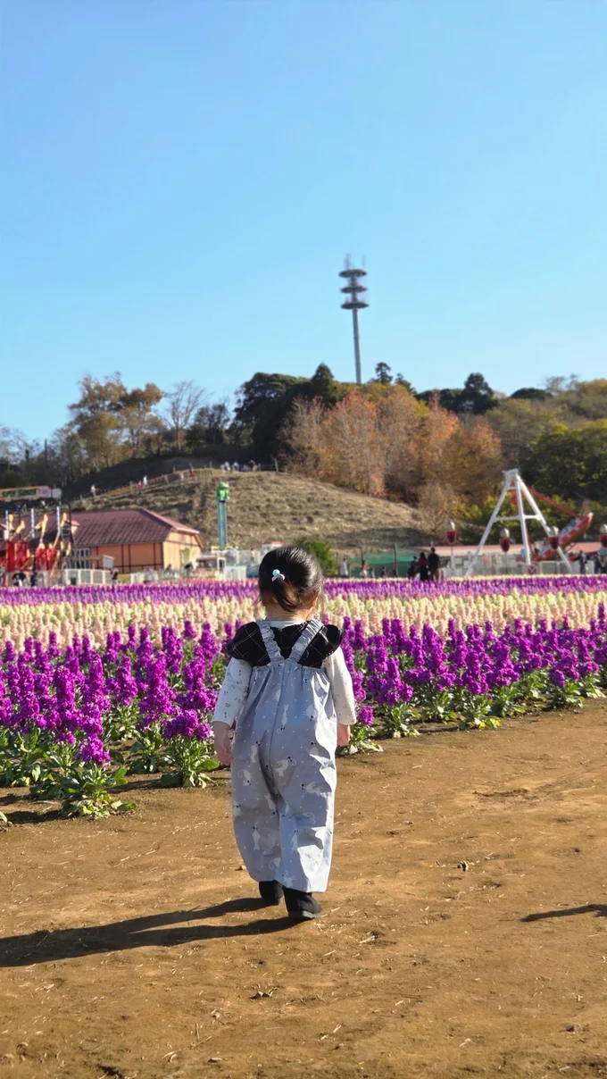 お花畑を散歩中▶これはなんだろう（⇒次へ）