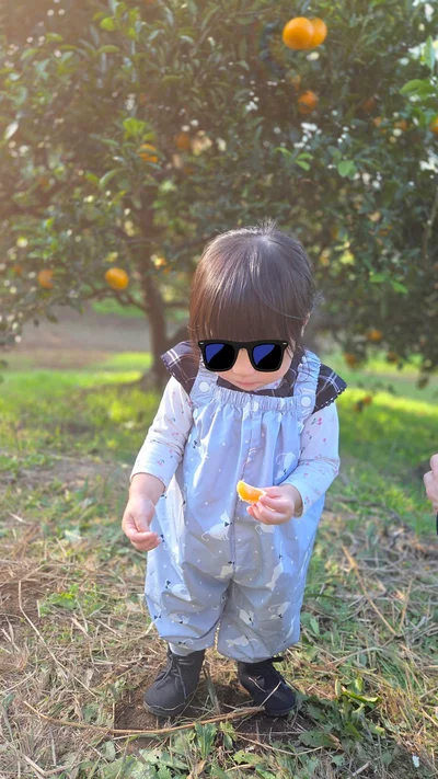 みかん食べ放題！▶ちょっと…怖い？（⇒次へ）