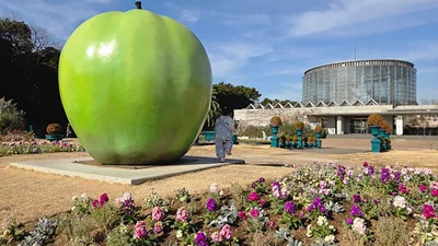 周りで踊りだした娘さん▶（次画像からちょっぴりドジなでこ先生と、個性豊かな子どもたちとの日常を描いた『ただいま！ 保育士でこ先生2』が読めます）