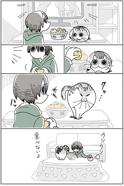 『夜は猫といっしょ』より