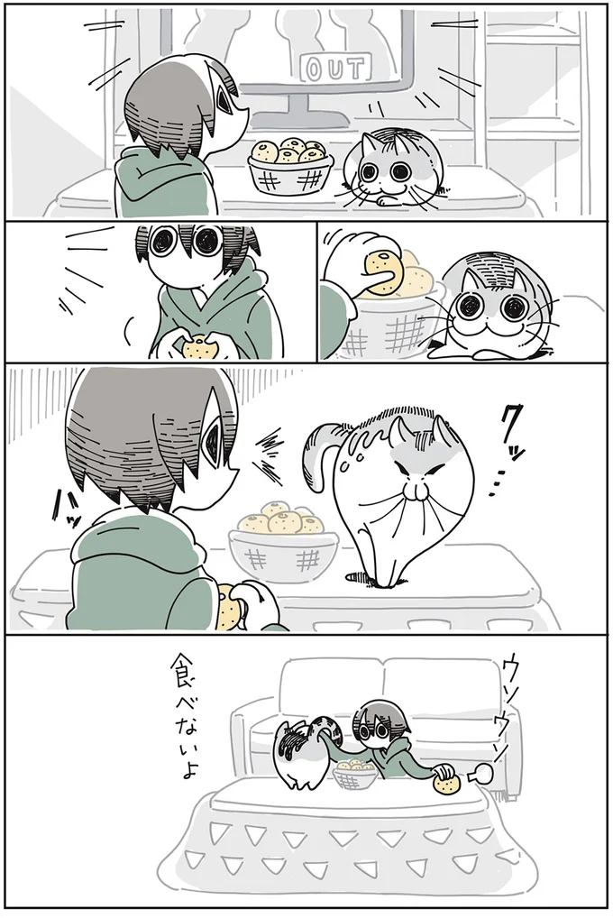 『夜は猫といっしょ』より