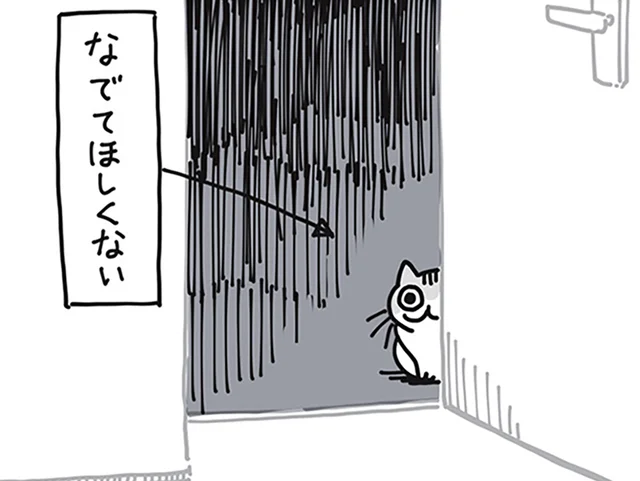 何かを求められている？ ネコが来て数ヶ月、未だ分かってあげられないこと