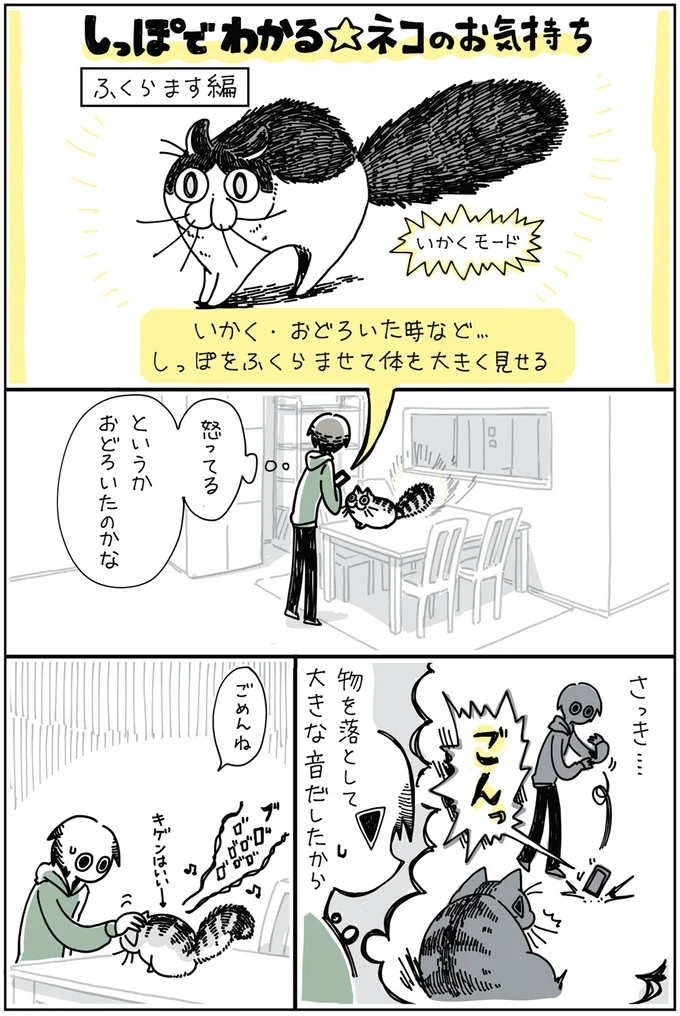『夜は猫といっしょ 2』より
