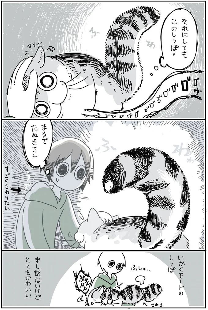『夜は猫といっしょ 2』より