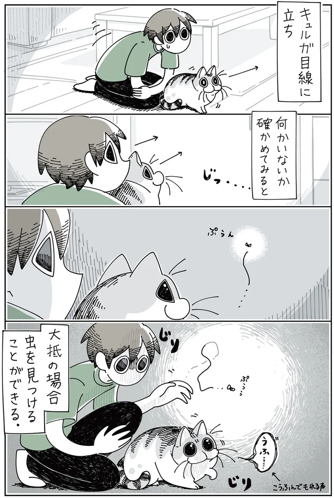 『夜は猫といっしょ 2』より
