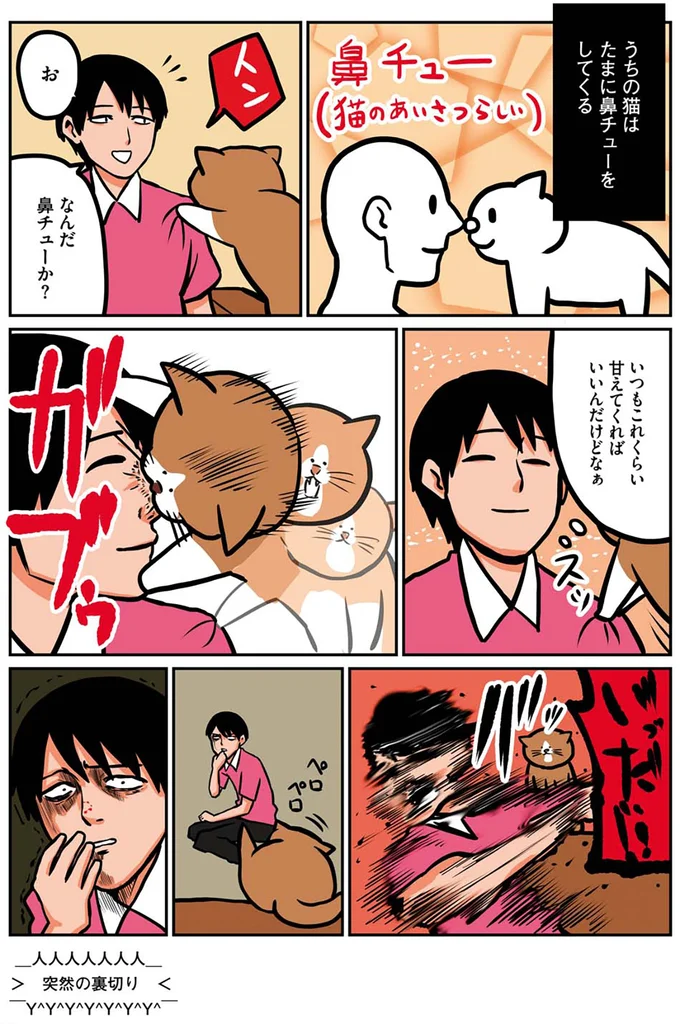 『鴻池剛と猫のぽんた ニャアアアン！1』より