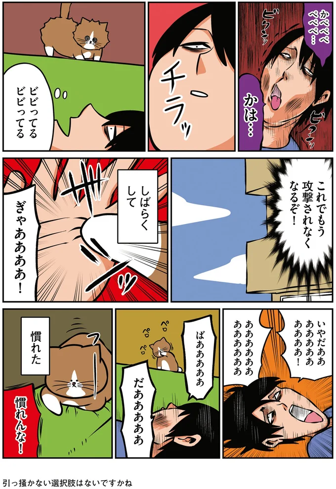 『鴻池剛と猫のぽんた ニャアアアン！3』より