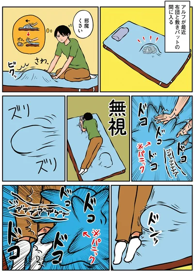 『鴻池剛と猫のぽんた ニャアアアン！3』より