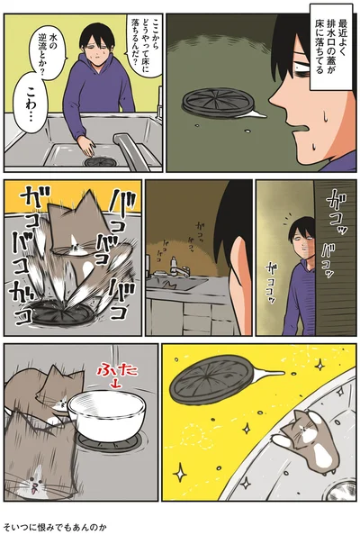 『鴻池剛と猫のぽんた ニャアアアン！3』より