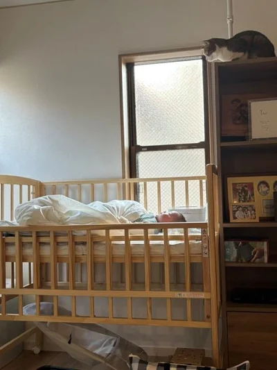 赤ちゃんを見つめるステラちゃん▶赤ちゃんから見た猫（⇒次へ）