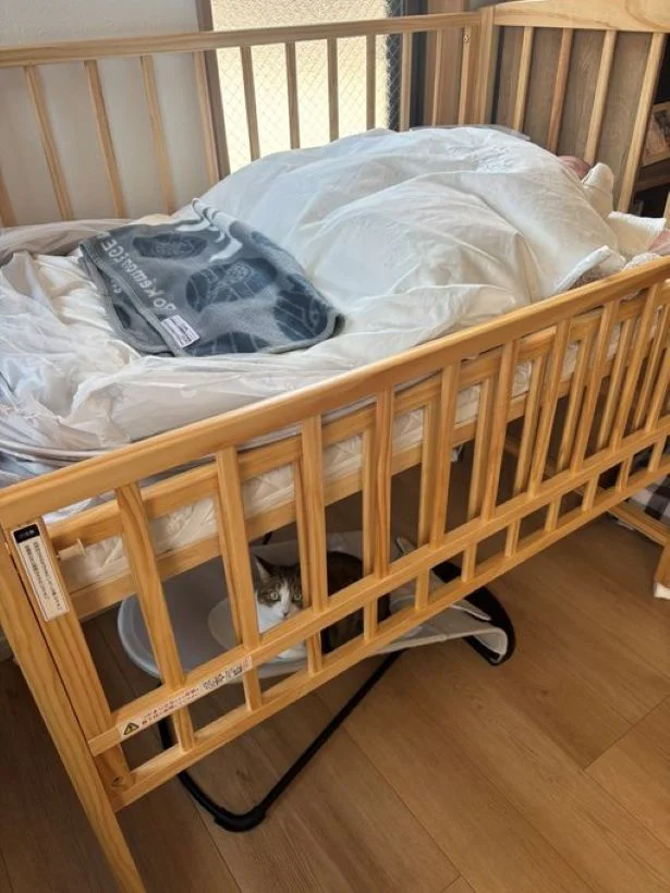 ベビーベッドの陰にいたのでした▶赤ちゃんが気になる…？（⇒次へ）