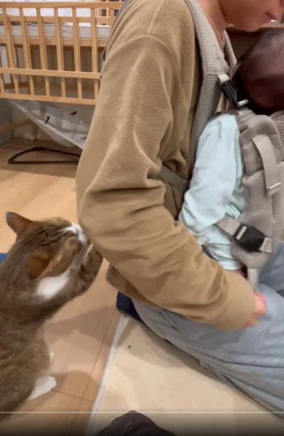 甘えん坊な一面もあるんですね▶構ってくれないので…（⇒次へ）