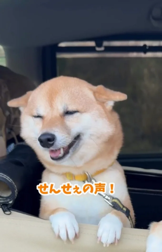 「先生の声だ！」▶先生にだけ見せるデレデレ顔（⇒次へ）