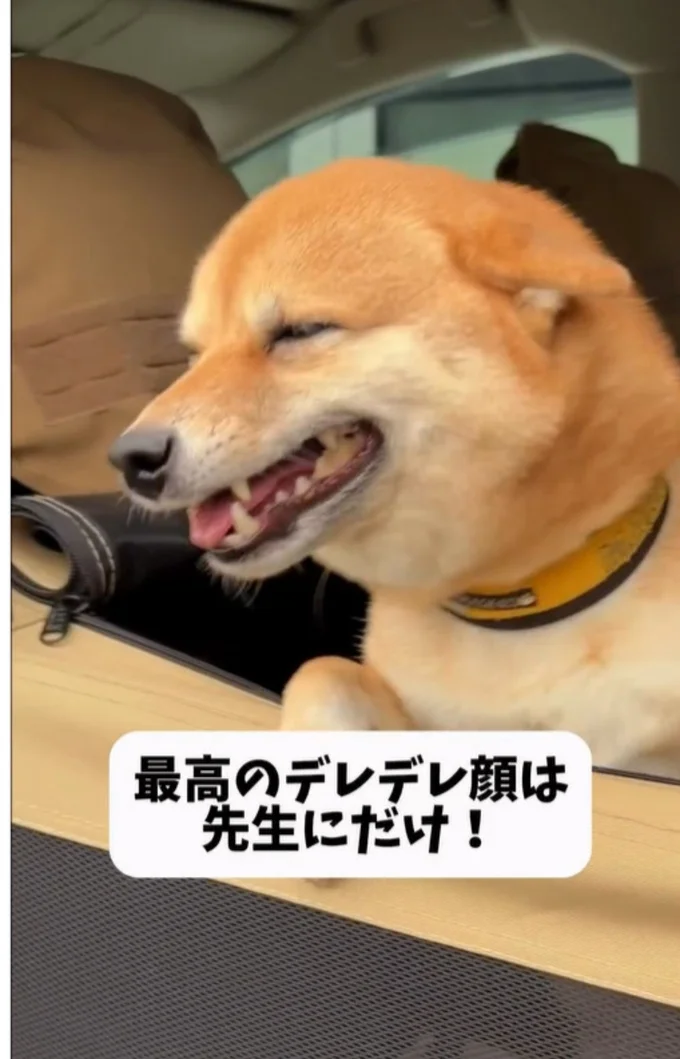 目を細めてうっとり▶先生が近づいてくると…（⇒次へ）