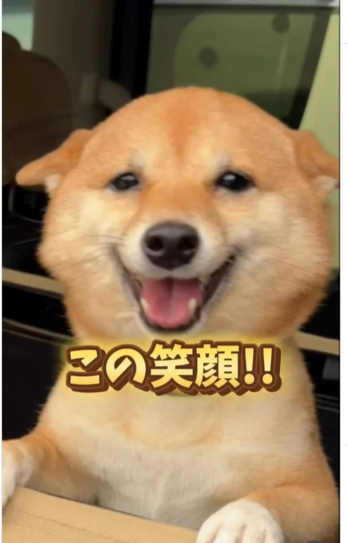 はじける笑顔▶こんな笑顔になる大好きな先生を見つけた時は…（⇒次へ）