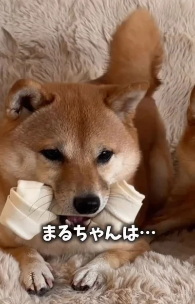 ガムをくわえながらぼんやり…▶どうしたの！？（⇒次へ）