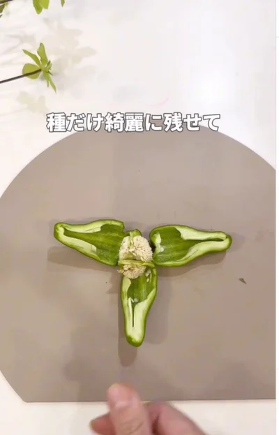 種だけ綺麗に残せる▶（次画像から毎日を楽しく過ごすためのヒントが満載！『メンタル強め美女白川さん5』が読めます）