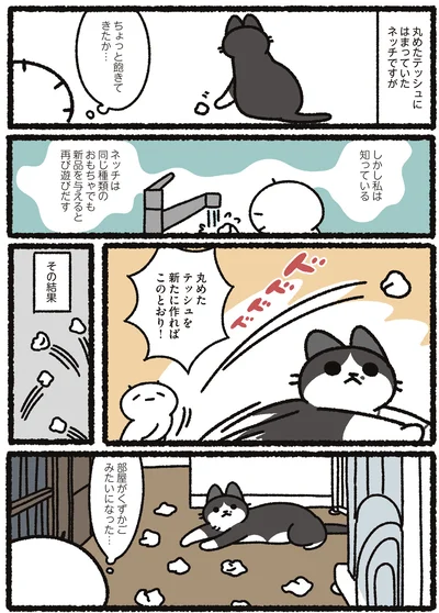 『あっち こっち ネッチ！』より