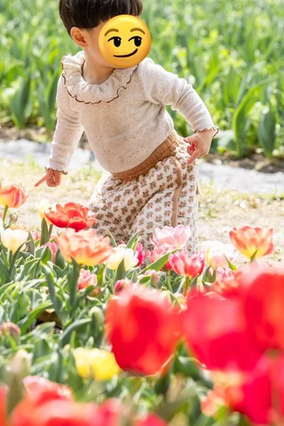 全身が砂まみれに…▶チューリップ畑以外のお花とも一緒にイヤイヤしました（⇒次へ）