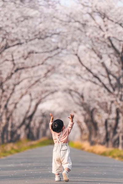 桜に手を伸ばす息子さん▶イヤイヤする前は楽しそうにしていました（⇒次へ）