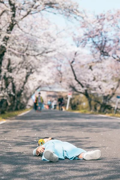 桜でもイヤイヤ▶ご機嫌なお花見もあります！（⇒次へ）