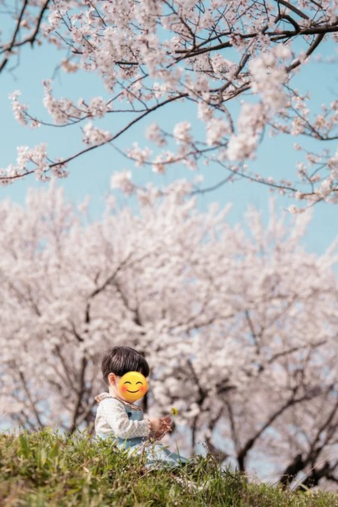 イヤイヤ前の素敵なお写真▶お天気もよくて撮影日和！（⇒次へ）