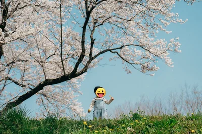 青空に桜と息子さんが映えますね▶楽しそうなお花見の様子が伝わってきます（⇒次へ）
