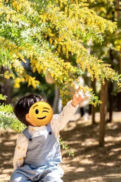 ミモザと息子さん▶ミモザの中でとっても楽しそう（⇒次へ）
