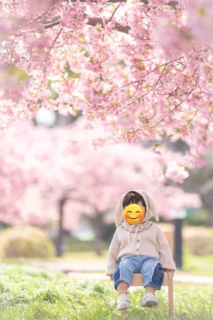 今年は早めに咲いた河津桜▶季節をいっぱい感じながら成長中（⇒次へ）
