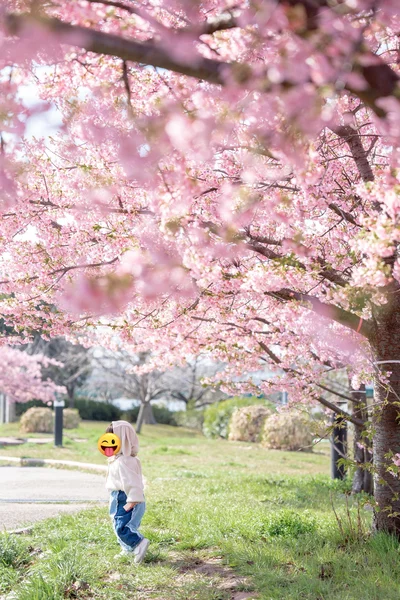 ピンクの雲のようです▶ファーストアートにもお花が（⇒次へ）