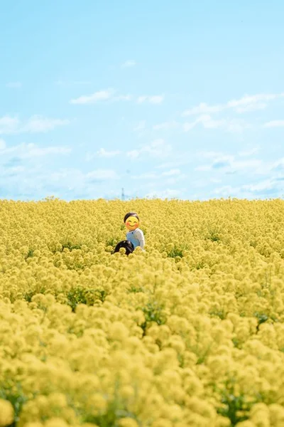 お母さんの肩車でご機嫌！▶息子さんより大きな菜の花に囲まれて（⇒次へ）