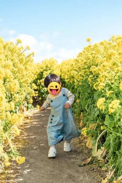 菜の花畑でお散歩▶桜のトンネルの中にいるみたい（⇒次へ）