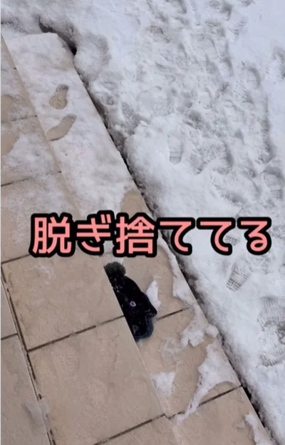 帽子を脱ぎ捨てていく弟くん▶（次画像から予想外の出来事が起こる保育士時代をおもしろおかしく描いた『実録 保育士でこ先生6』が読めます）