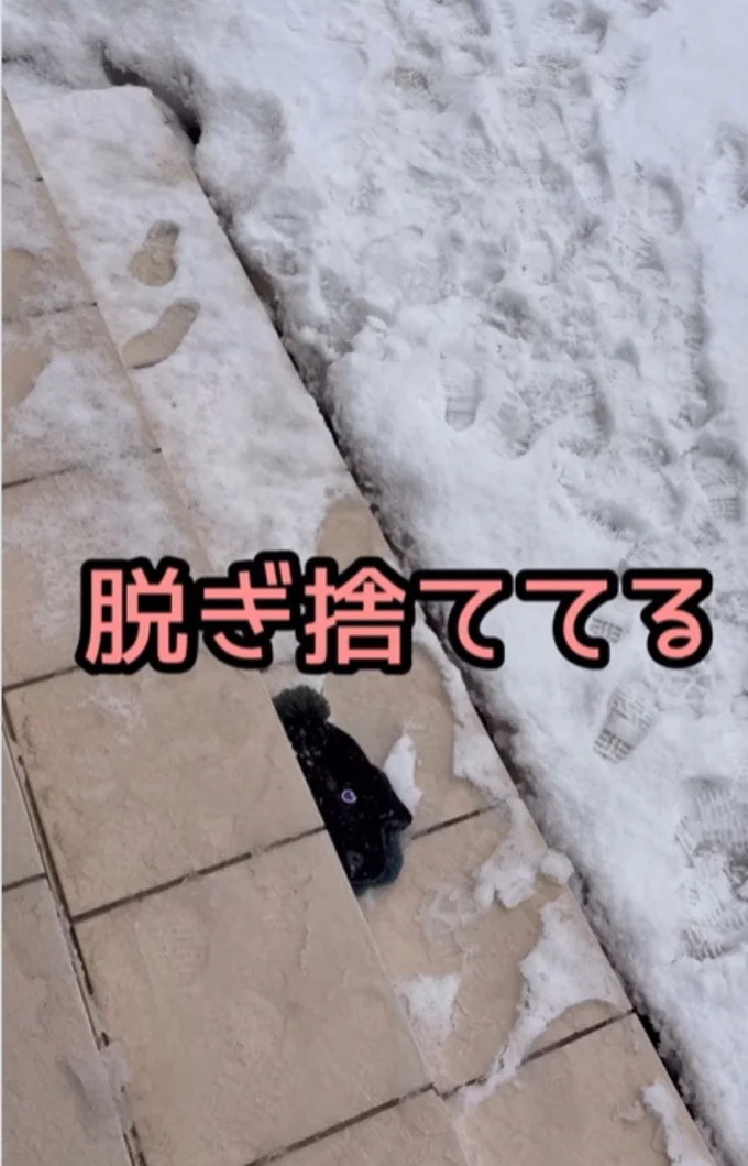 帽子を脱ぎ捨てていく弟くん▶（次画像から予想外の出来事が起こる保育士時代をおもしろおかしく描いた『実録 保育士でこ先生6』が読めます）