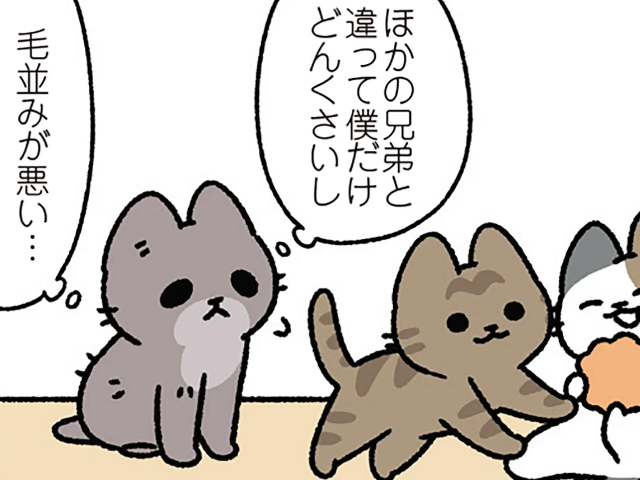 みにくいアヒルの子なねこ】「ぼくだけ毛並みが悪い」自信のないねこに