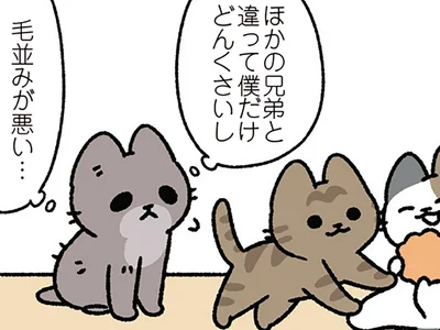 【みにくいアヒルの子なねこ】「ぼくだけ毛並みが悪い」自信のないねこに差し伸べられた手
