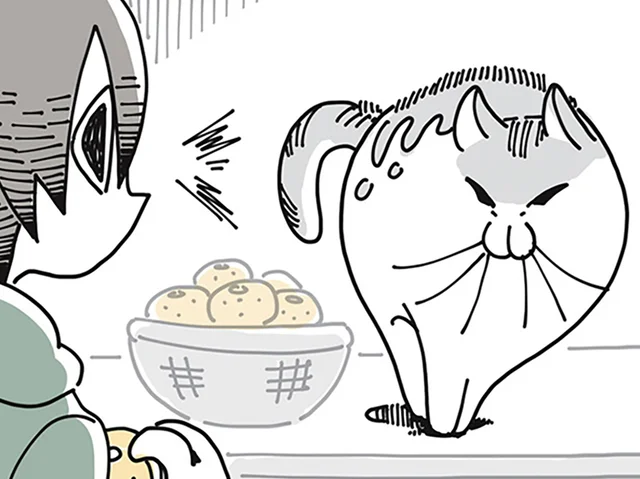 ネコが警戒？ こたつでぬくぬくな飼い主が手に取ったのは