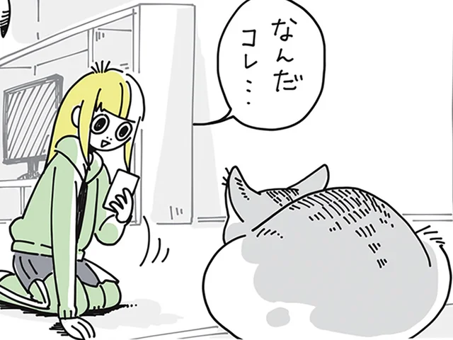 「二次元コードを認識。読み取りますか？」ネコの名前を決めるきっかけ