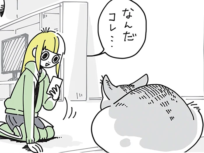 「二次元コードを認識。読み取りますか？」ネコの名前を決めるきっかけ
