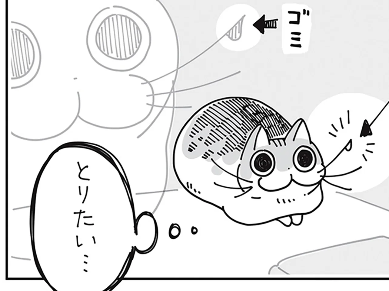 ゴミがくっついてるネコのヒゲ。触られたくないのは分かるけど、気に