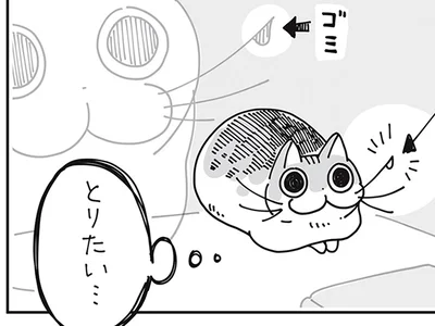 とりたい…