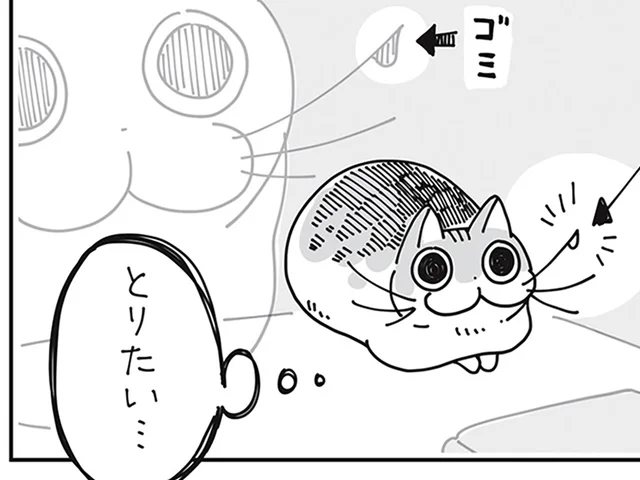 ゴミがくっついてるネコのヒゲ。触られたくないのは分かるけど、気になる！